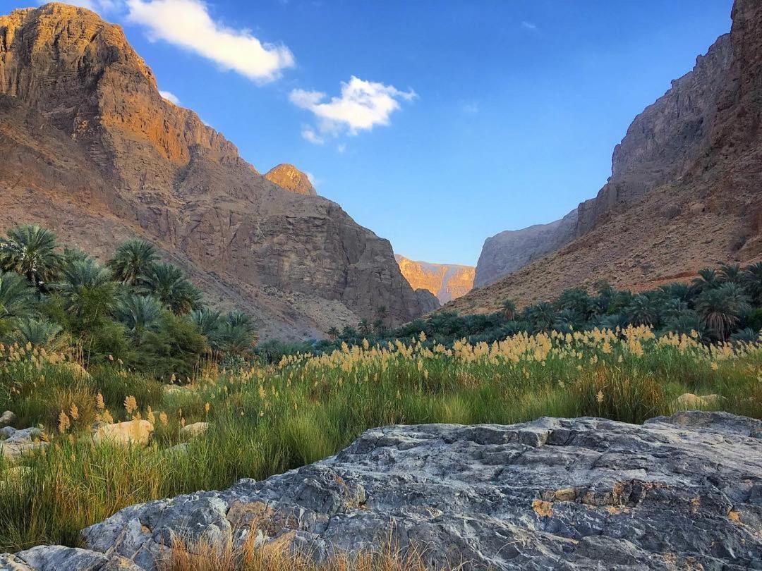 Wadi Al Arbeieen Resort Firq Luaran gambar