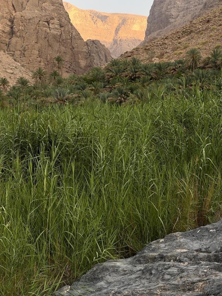 Wadi Al Arbeieen Resort Firq Luaran gambar