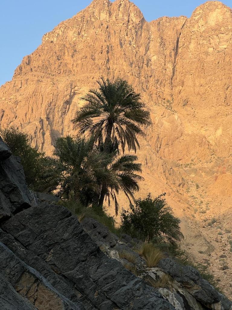 Wadi Al Arbeieen Resort Firq Luaran gambar